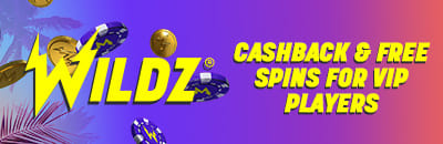 Wildz casino ecopayz