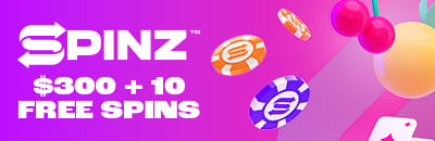 Spinz casino ecopayz